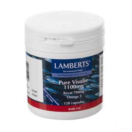 Lamberts Huile Poisson Pur 1100 mg Capsule 120  -  Health Benefits 08