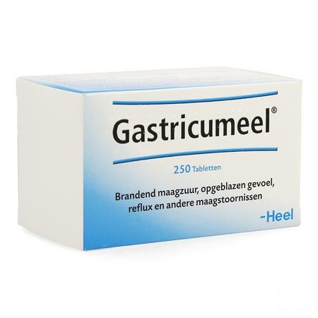 Gastricumeel Tabletten 250  -  Heel