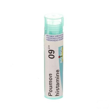 Poumon Histamine 9CH Gr 4g  -  Boiron