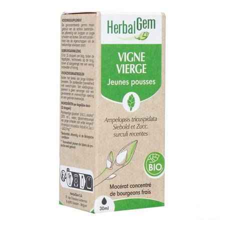 Herbalgem Vigne Vier Bio 30 ml