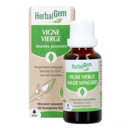 Herbalgem Vigne Vier Bio 30 ml