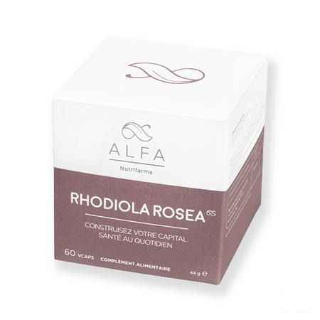 Alfa Rhodiola Rosea 500 mg V-Capsule 60  -  Nutrifarma