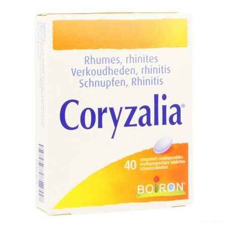 Coryzalia Tabletten Orodisp 40  -  Boiron