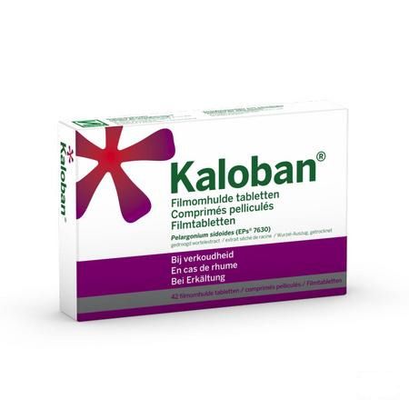 Kaloban Filomhulde Tabletten 42 X 20 mg  -  VSM