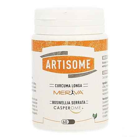 Artisome Tabletten 60 X 1000 mg  -  Dynarop Products