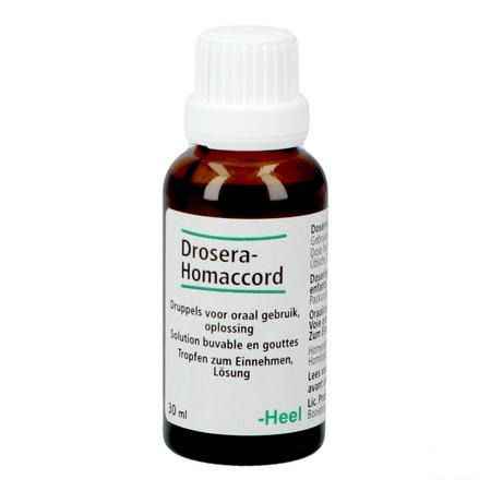 Drosera-homaccord Druppels 30 ml  -  Heel