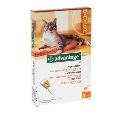 Advantage 40 Katten 