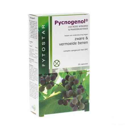 Fytostar Pycnogenol Capsule 30 7587  -  Ocebio