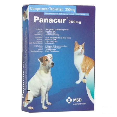 Panacur Tabletten Vet 10 X 250 mg 