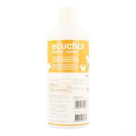 Ecuchol Solution Oral 500 ml  -  Ecuphar