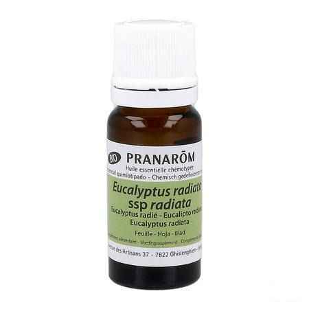 Eucalyptus Radie Bio Essentiele Olie 10 ml  -  Pranarom