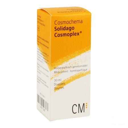 Solidago Cosmoplex Druppels 30 ml  -  Heel