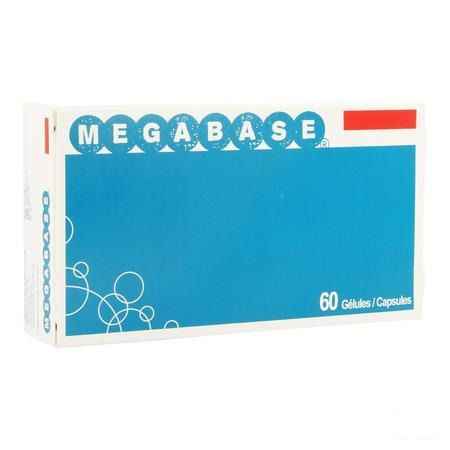 Megabase Capsule 3x20