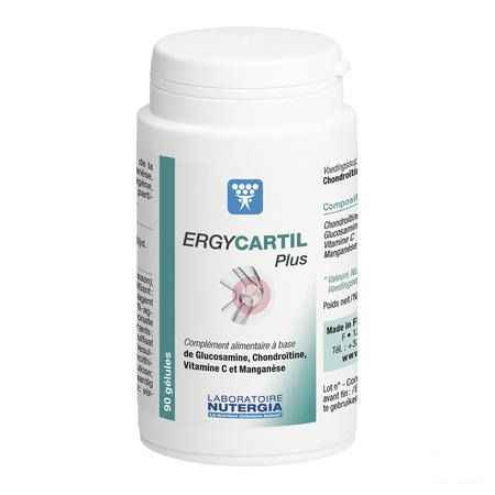 Ergycartil Plus Gel 90  -  Lab. Nutergia