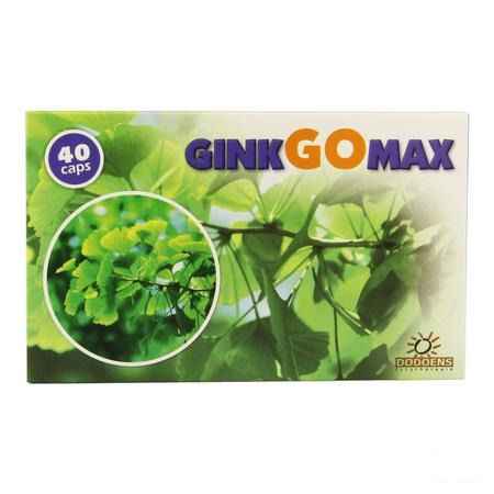 Ginkgomax Capsule 40