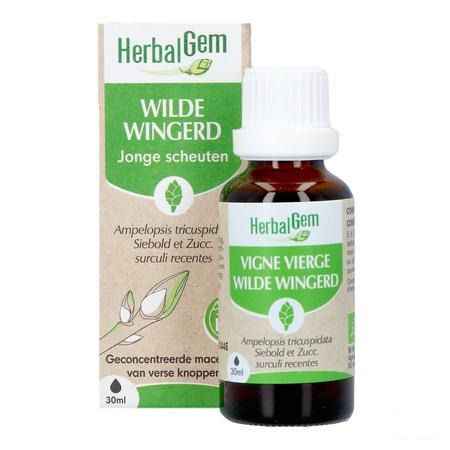 Herbalgem Wilde Wingerd Bio 30 ml