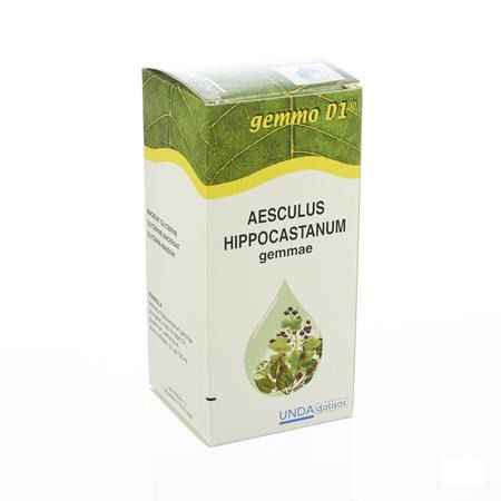 Aesculus Hippoc.gemmo D1 125 ml  -  Boiron