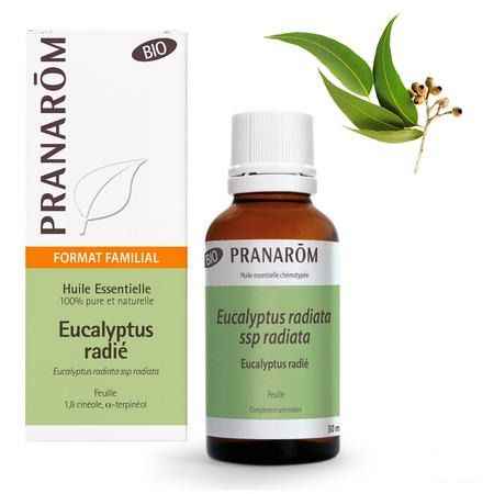 Eucalyptus Radiata Huile Essentielle 30 ml  -  Pranarom