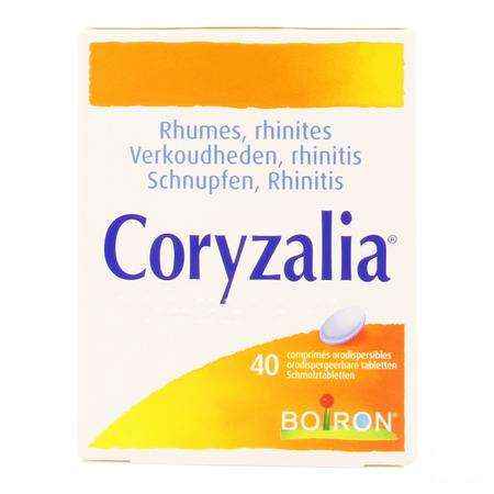 Coryzalia Comprimes Orodisp 40  -  Boiron