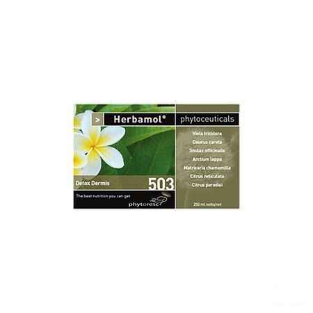 Herbamol 503 Detox Dermis 250 ml 