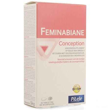 Feminabiane Conception Comp 30 + Caps 30  -  Pileje