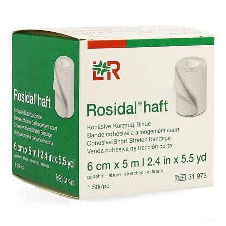 Rosidal Haft Cohesieve Windel 6cmx5m 1 31973  -  Lohmann & Rauscher