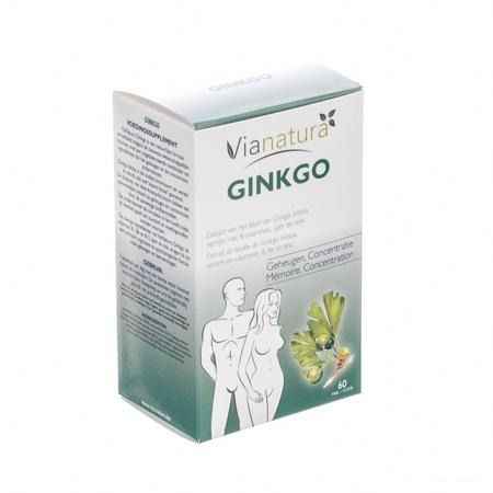 Ginkgo Complex Tabletten 60  -  Biover