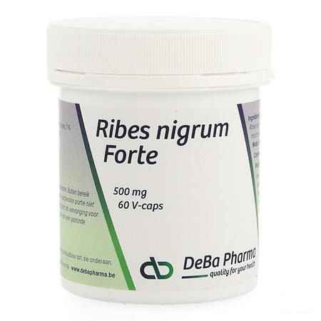Ribes Nigrum V-Capsule 60  -  Deba Pharma