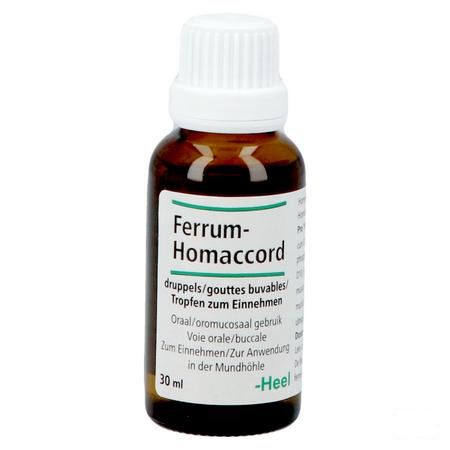 Ferrum-homaccord Druppels 30 ml  -  Heel