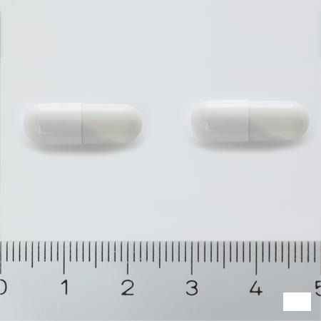 Enterol 250 mg Capsule Harde Dur sans blister 20x250 mg