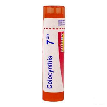Colocynthis 7CH Gr 4g  -  Boiron
