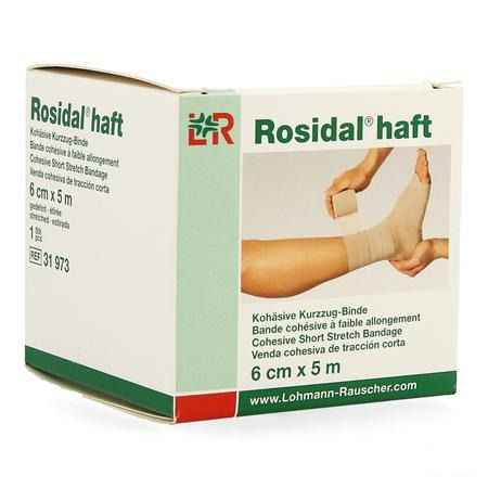 Rosidal Haft Bande Cohesive 6cmx5m 1 31973  -  Lohmann & Rauscher
