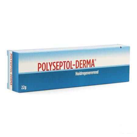 Polyseptol Derma Pommade Tube 22 gr 0070177