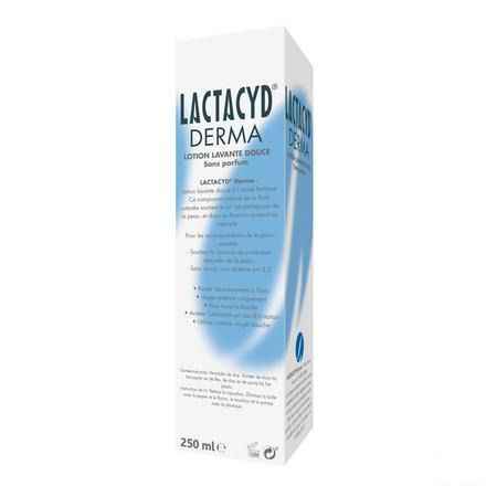 Lactacyd Derma Emuls sans savon 250 ml