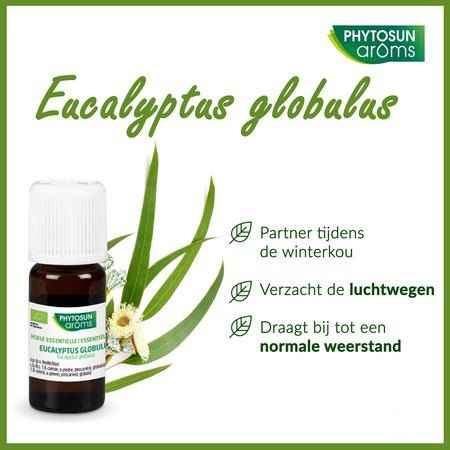 Phytosun Euc. Globulus Fr-bio-01 10 ml