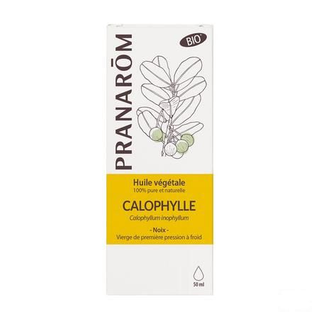 Calophyllus Bio Plantaardige Olie 50 ml  -  Pranarom