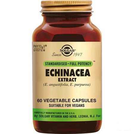 Solgar Echinacea Extract V-Capsule 60  -  Solgar Vitamins