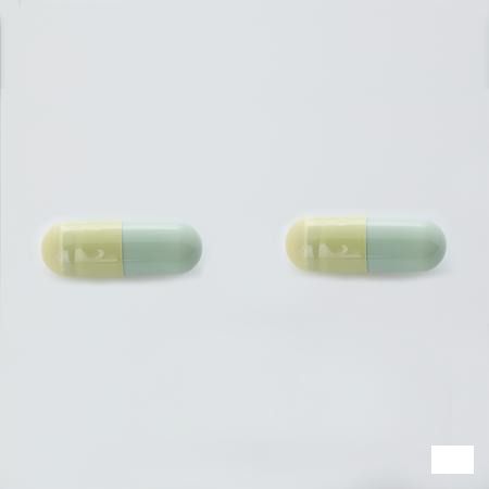 Sacchiflora 250 mg Capsule Dur 50 Blister