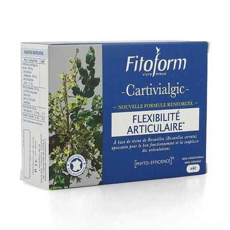 Cartivial+ Gewrichtscomfort Comp 40 Fitoform  -  Bioholistic Diffusion