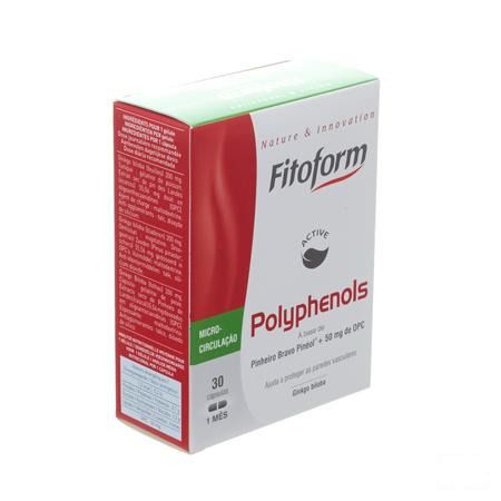 Polyphenols Gel 30 Fitoform  -  Bioholistic Diffusion