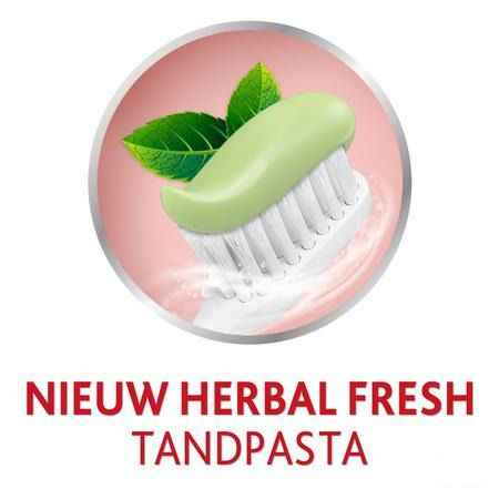 Parodontax Dentifrice Herbal Fresh Tube 75 ml