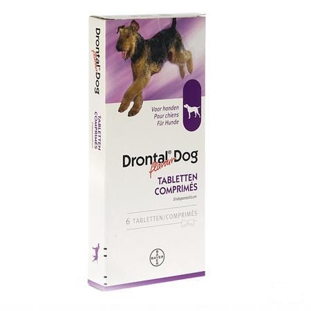 Drontal Dog Flavour Tabletten 6