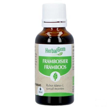 Herbalgem Frambois Bio 30 ml