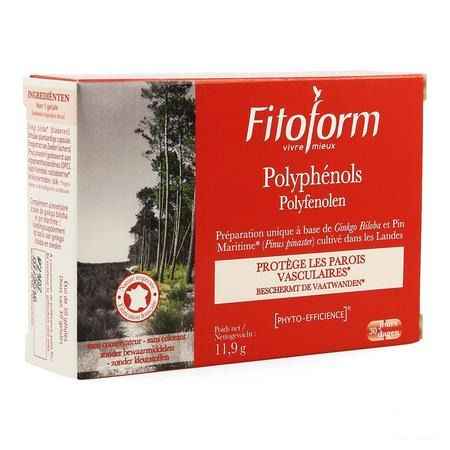 Polyphenols Gel 30 Fitoform  -  Bioholistic Diffusion