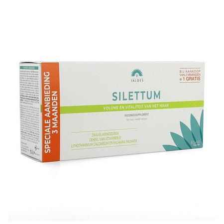 Silettum Cure 3 Mois Gel 3X60