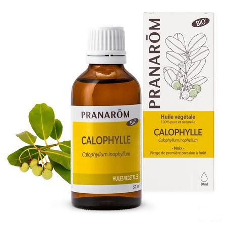 Calophyllus Bio Plantaardige Olie 50 ml  -  Pranarom
