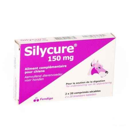 Silycure Tabletten 2x20x150 mg Blister  -  Fendigo