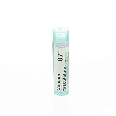 Conium Maculatum 7CH Gr 4g  -  Boiron