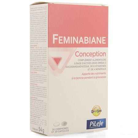Feminabiane Conception Comp 30 + Caps 30  -  Pileje