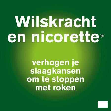 Nicorette Mint Spray Buccal 1x150 Sprays 1 mg/spr.